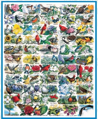 State Birds & Flowers (140PZ)- 1000 Piece Jigsaw Puzzle