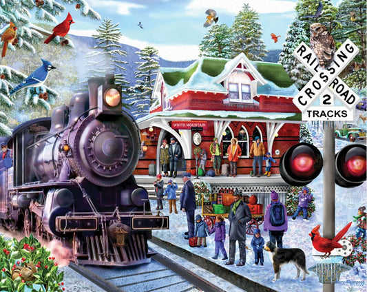 Train Ride - Seek & Find (1710) - 1000 Piece Jigsaw Puzzle