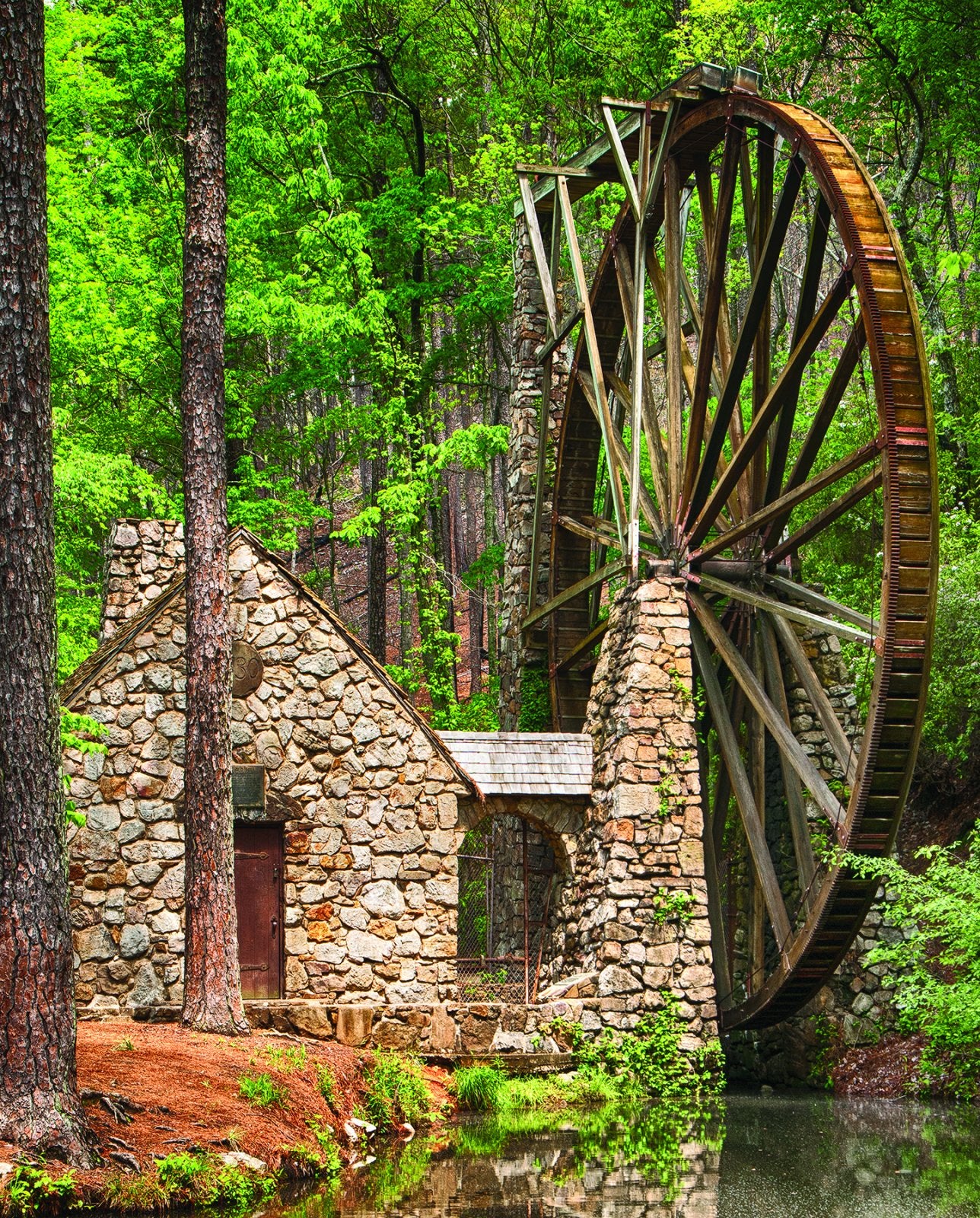 Water Wheel 1000 Piece Springbok